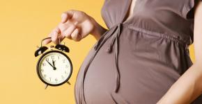 كم من الوقت يستغرق الذهاب في إجازة أمومة؟